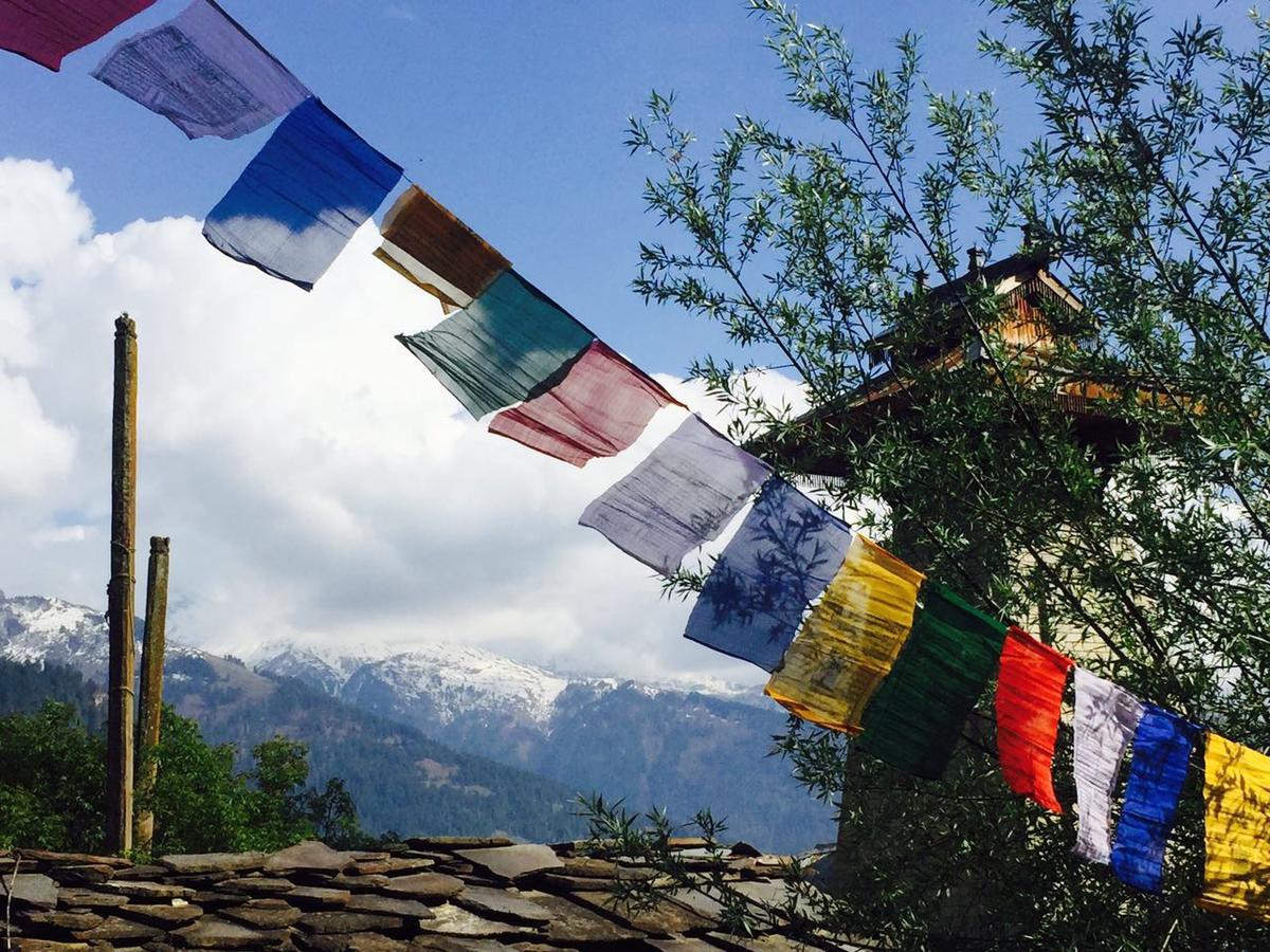 Bros Hostel Manali Exteriér fotografie